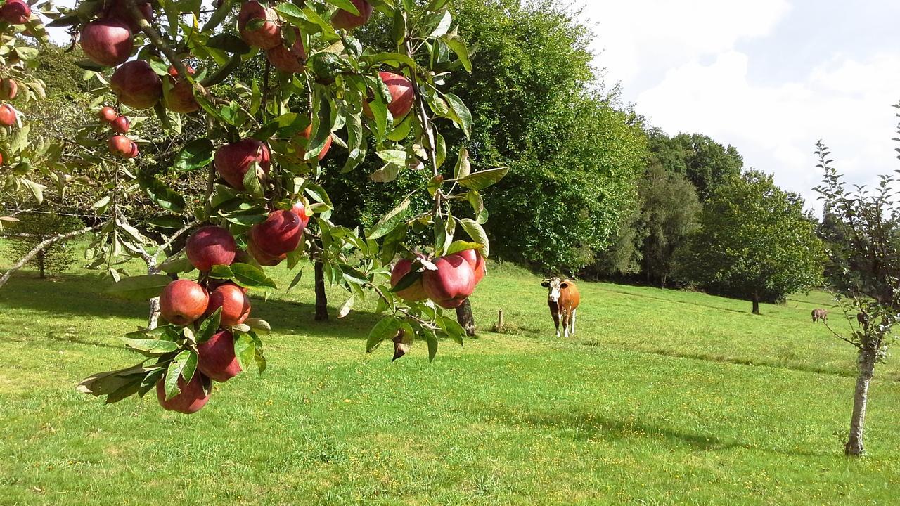Casa Rural Grana Da Acea Monfero Exteriör bild